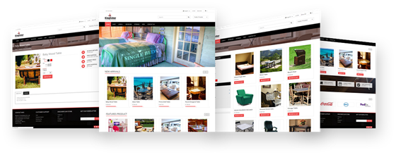 Appjetty product pages: Odoo Kingfisher Theme