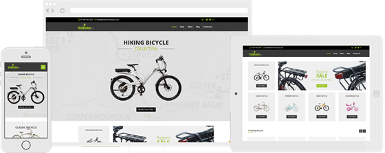 Appjetty product pages: Odoo Kingfisher Pro Bicycle Theme