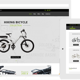 Appjetty product pages: Odoo Kingfisher Pro Bicycle Theme